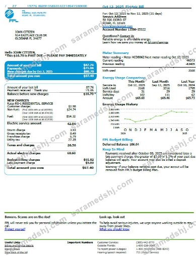 USA FPL utility bill template in Word and PDF formats, version 3